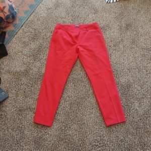Express pants